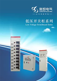 Low voltage cabinet and distribution box samples.pdf