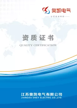 Qualification Certificate.pdf